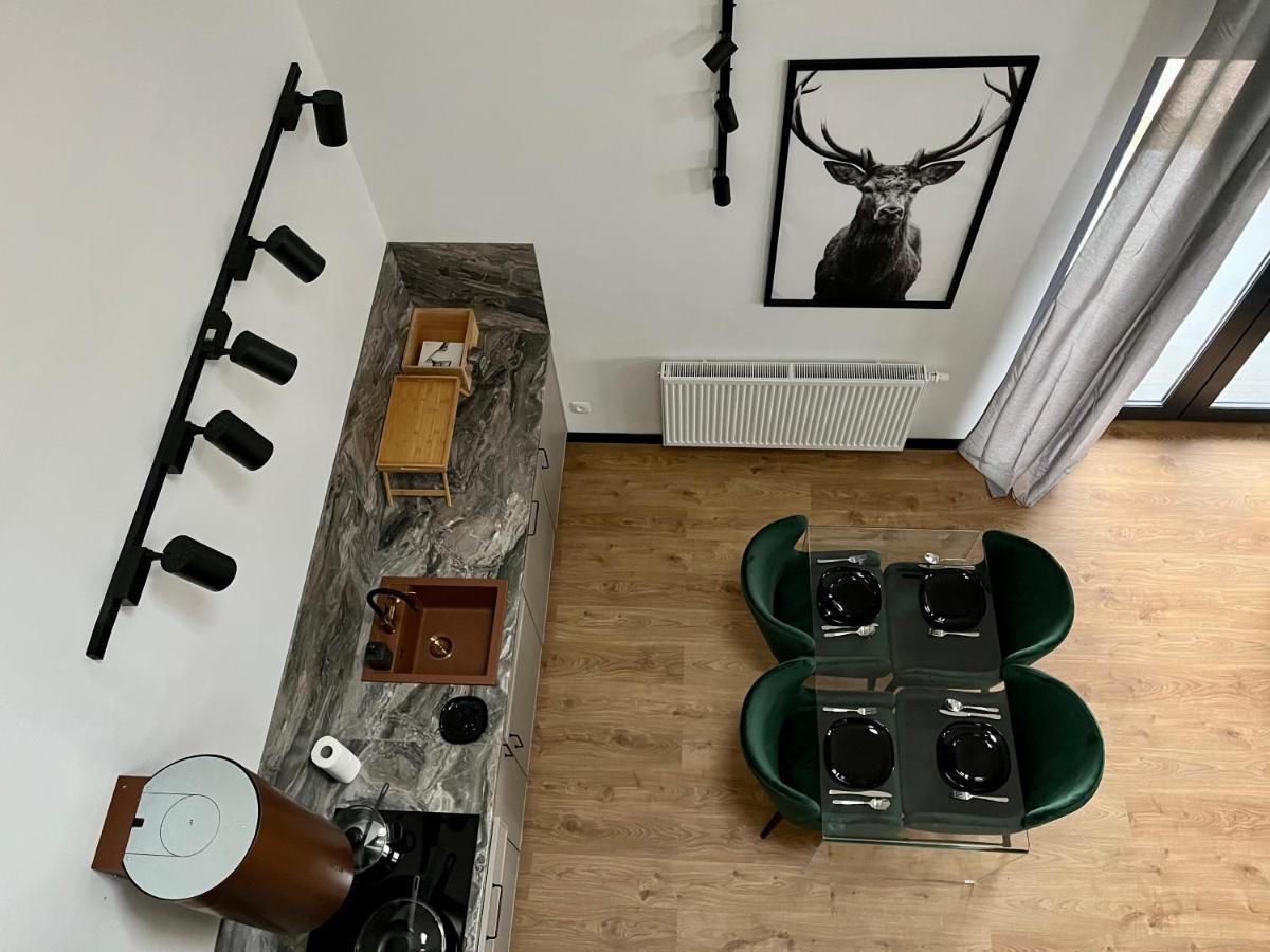 Apartamenty Maxa Czornyja Jelenia Góra Kültér fotó