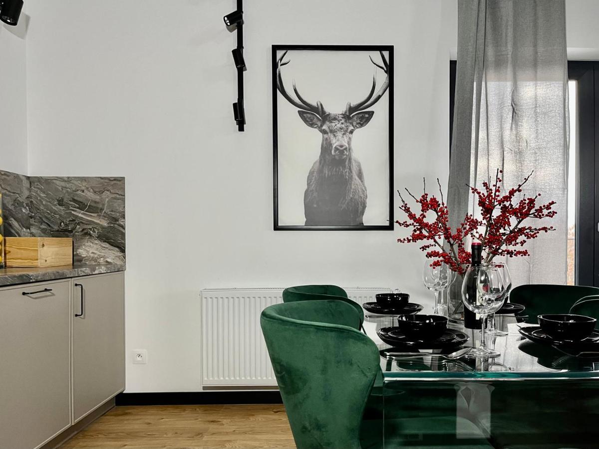 Apartamenty Maxa Czornyja Jelenia Góra Kültér fotó
